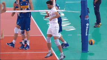 Celebration Wow GIF by Volleyball World