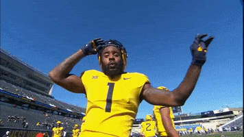 GIF by WVU Sports