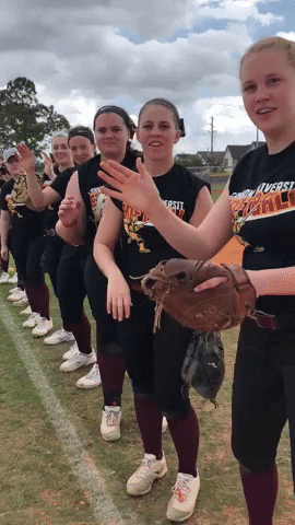 excited softball team GIF by Gannon University