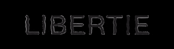 boutiquelibertie GIF