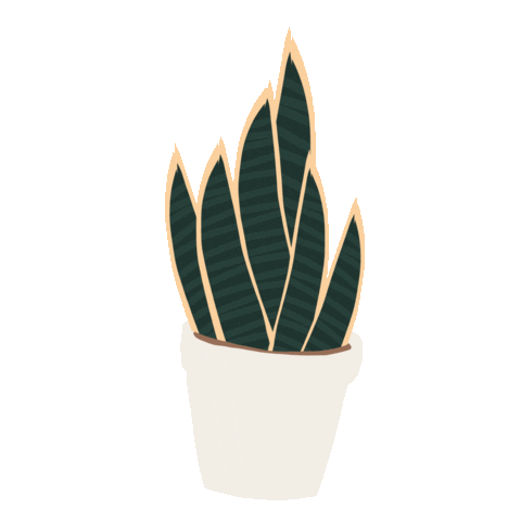 Illustration Sticker