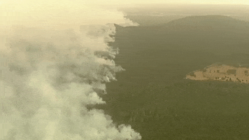 fires australia fires wildifires GIF
