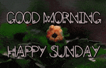 Happy Sunday GIF