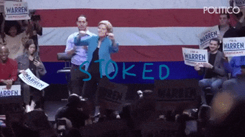 Elizabeth Warren GIF
