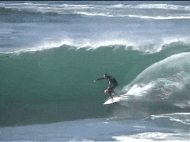 founder  GIF