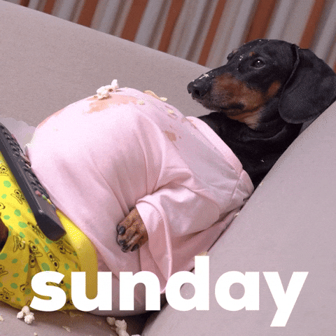 Video gif. Black dachshund wearing a pink t-shirt stuffed full of padding lays on its back on a couch with a remote control on its stomach and food all over its face, looking relaxed. Text, "Sunday."