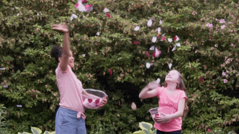 giphy.gif?cid=ecf05e47580d572fd114dac135