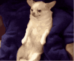 Party Baking GIF by Gooddeesmix