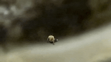 Micro GIF