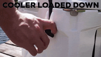Hooked Coolers GIF