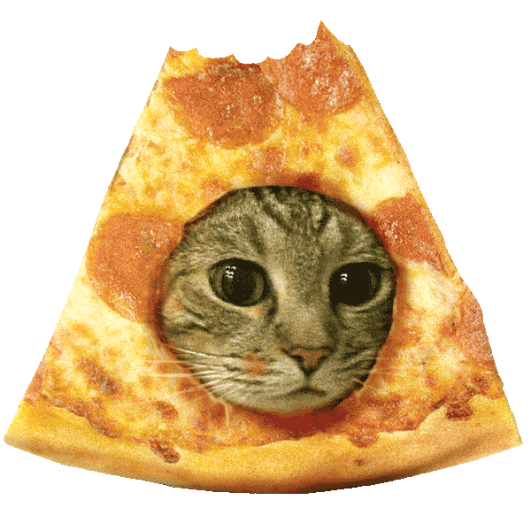 Source: the pizzacat