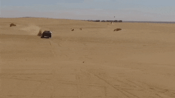 TatumMotorSports GIF