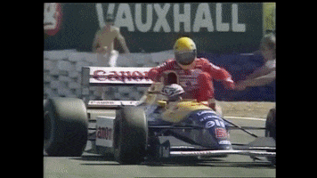 Ayrton Senna GIF