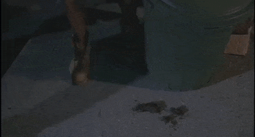Movies GIF