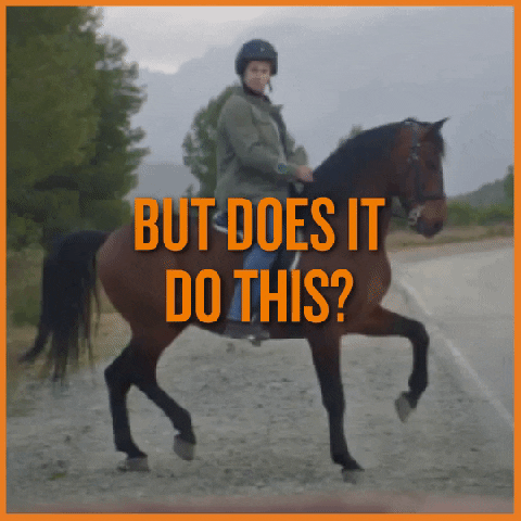 question seth GIF by Sixt