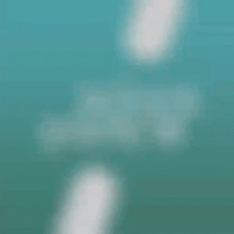 Ultimo GIF
