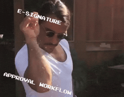 Workflow GIF