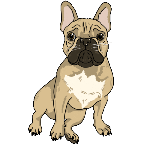 French Bulldog Dogs Sticker by ptrzykd