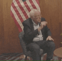 Feel The Bern Art GIF by Bernie Sanders