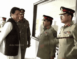 Donald Trump Usa GIF