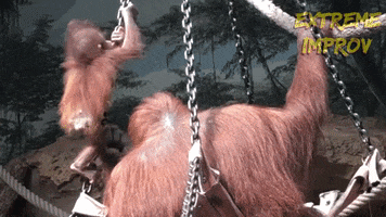 Keep Going Baby Monkey GIF by Extreme Improv