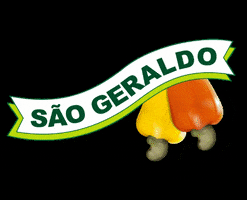 Cajuína São Geraldo GIF