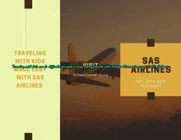 Sas Airlines GIF