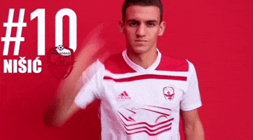 FC Vozdovac GIF