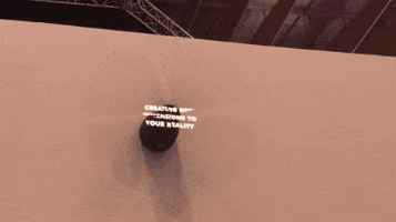 Reality GIF