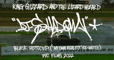 King Gizzard GIF by King Gizzard & The Lizard Wizard