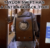 Taylor Swift Cats GIF by Your Cat Backpack