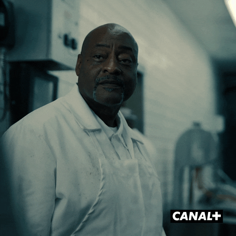 Tv Show Justice GIF by CANAL+