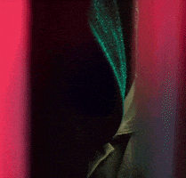 What Do You Mean GIF by Justin Bieber