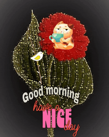 Good Morning Love GIF by The Seed of Life Foundation