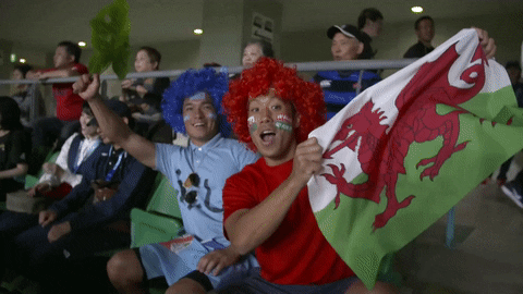 Wales Rugby GIFs - Find & Share on GIPHY