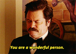 Parks And Recreation Television GIF