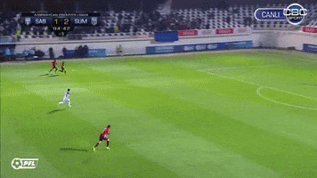 Amir Agaev GIF