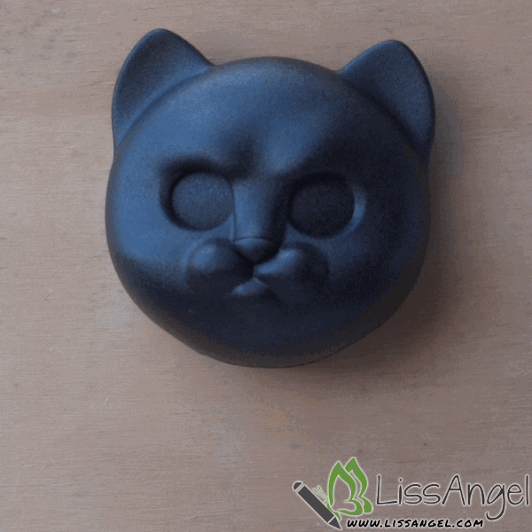Cat GIF