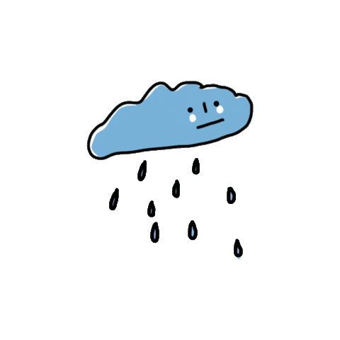 Rain Sticker