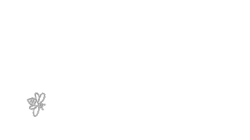 Party Girls Sticker by HoneyBeeMobileSpa