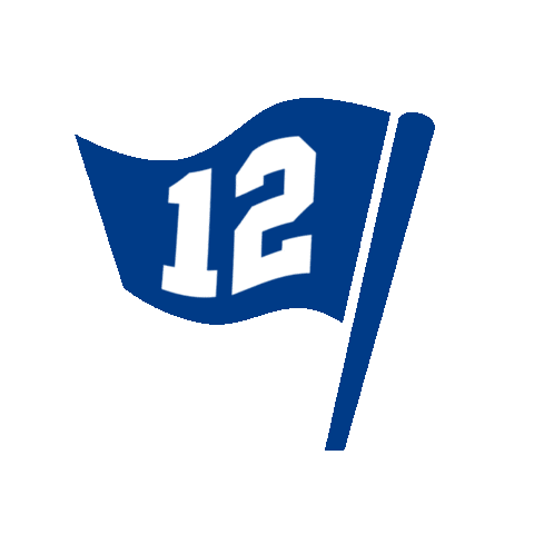 Football Always Compete Sticker by Seattle Seahawks