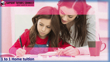 Home Tuition Singapore GIF