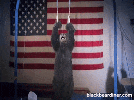 BlackBearDiner power bear fit gymnastics GIF