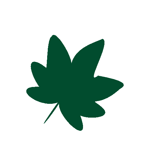 Green Beaver Sticker