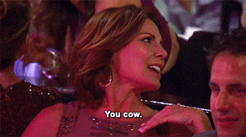 the countess GIF by RealityTVGIFs