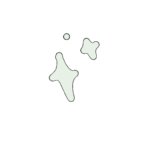 South Africa Star Sticker