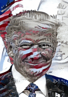 Donald Trump GIF by Rein Bijlsma