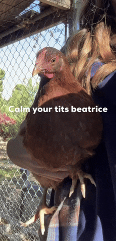 Beatrice GIF by dhanson12089