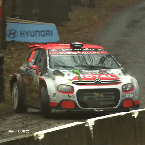 Never Give Up Sport GIF by FIA World Rally Championship