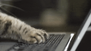 Working Days Of The Week GIF by Sealed With A GIF